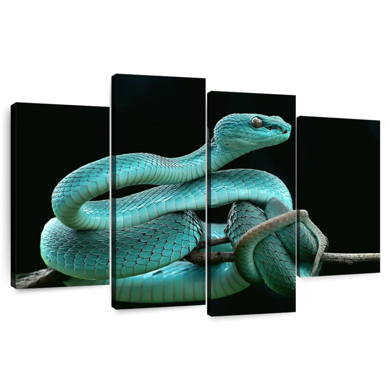Brampt Blue Pit Viper, 48" H x 75" W