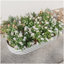 Grand lit de jardin surélevé ovale en métal pour plantes, légumes et fleurs - Argent