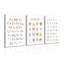 3 Piece Wrapped Canvas Print-2022452570