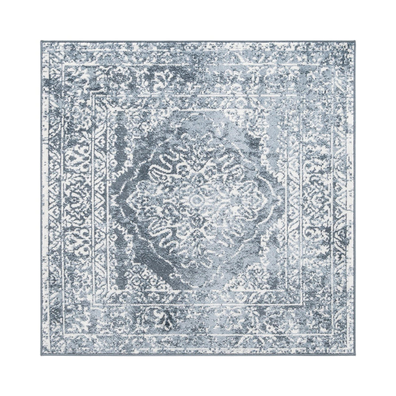 Boylan Oriental Indoor Rug, Square 4'1"