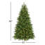 Sapin Fraser avec PowerConnect et lumières DEL bicolores Princeton Fraser Fir-1215022846