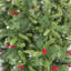 Arbre de Noël artificiel pin 90 '