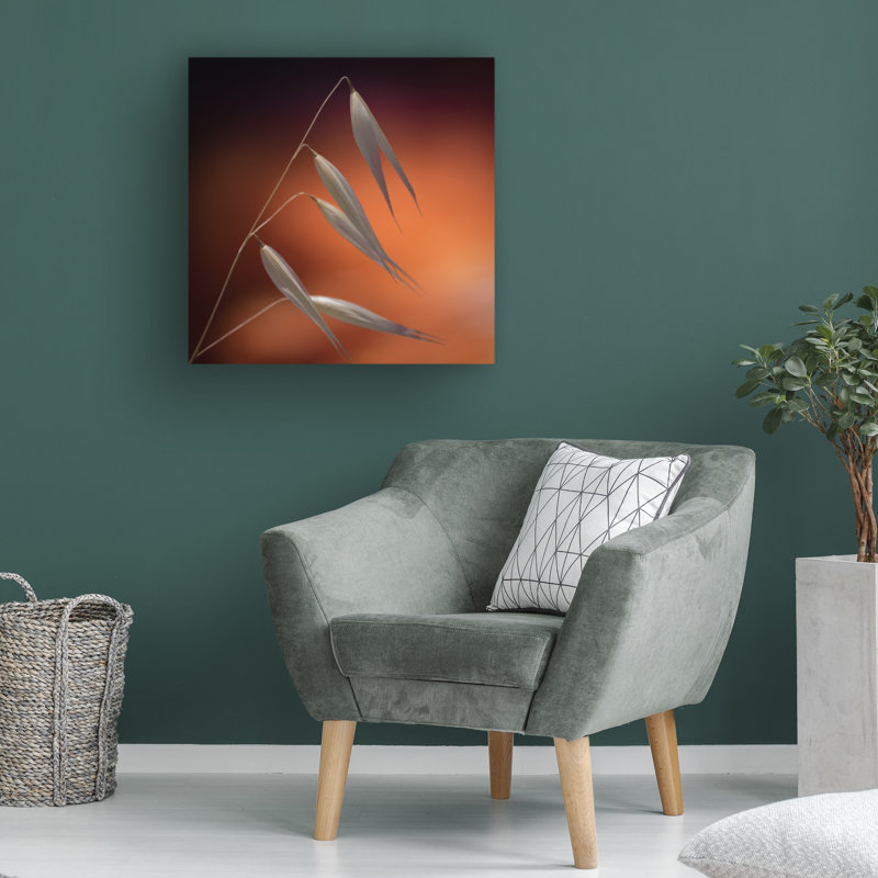 Art sur toile «ologicologic »parologia bolognaise, thématique, H 14 po x l 14 po