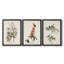 Pl. 63 mouchoirs aux yeux blancs - ensemble de 3 impressions sur toile encadrées-1466172695-1466172693