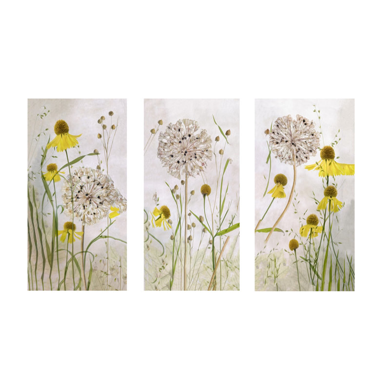 Alliums and Heleniums - 3 pièces sur toile, Impression encadrée naturelle, Blanc, H 40 po x l 60 po