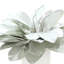 Holiday Magnolia Leaf Arrangement in a Ceramic Vase