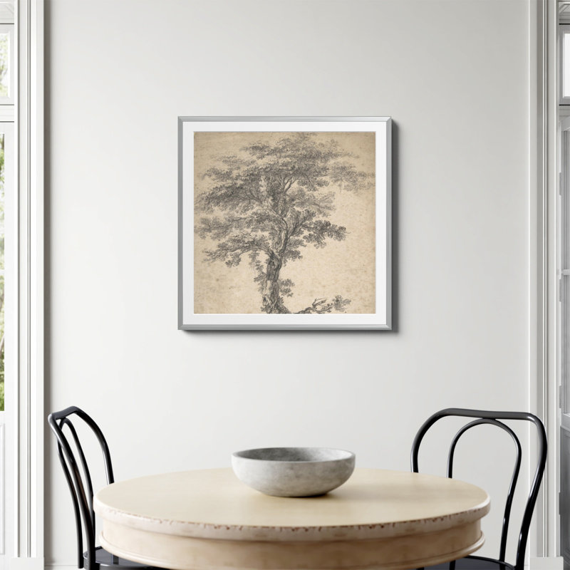 Étude d'un arbre imprimé par Jean Baptiste Pillement, Papier avec cadre simple argenté, Oui, H 30 po x l 30 po