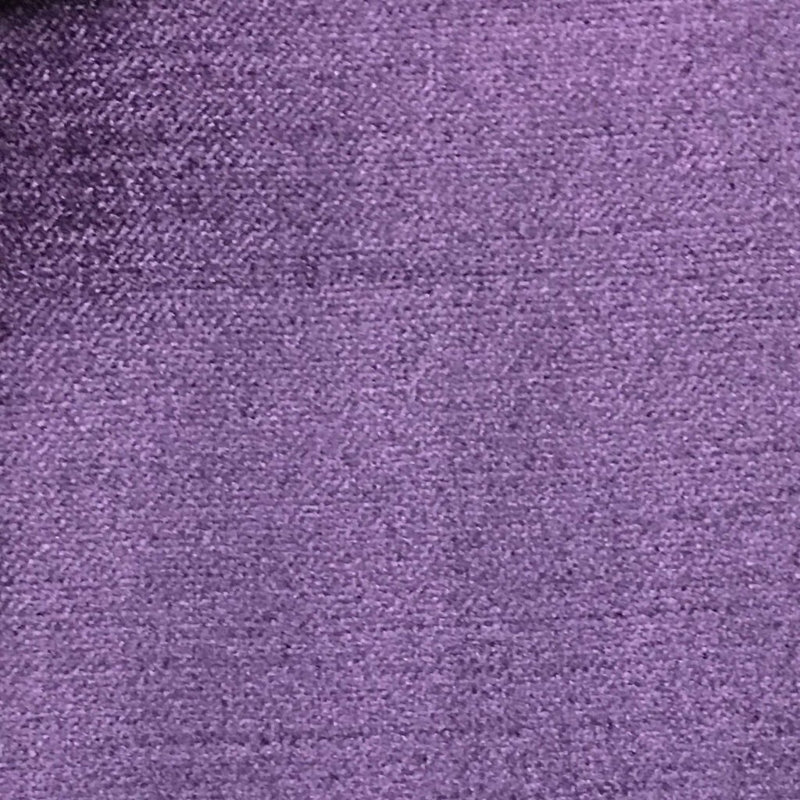 Majestic-Queen Shany Cotton Plain Velvet Fabric, Sparkling Grape