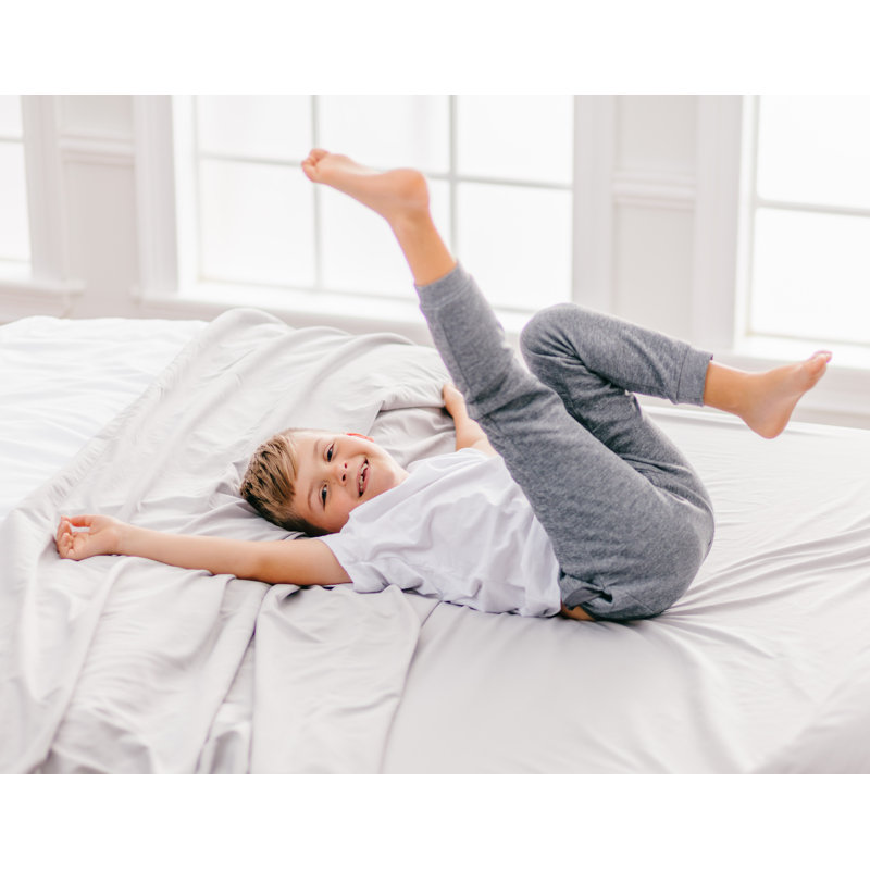 Ultra Soft Microfiber Percale Sheet Set, Queen Sheet Set with Fitted Sheet, Gray