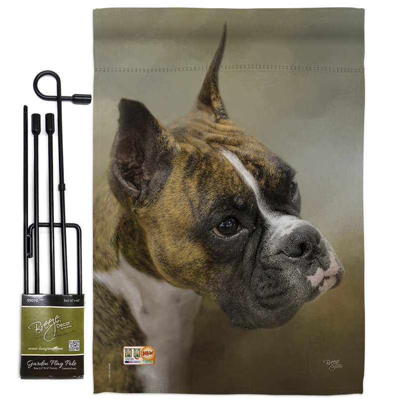 Double Sided 18.5'' H x 13'' W Polyester Flag Set