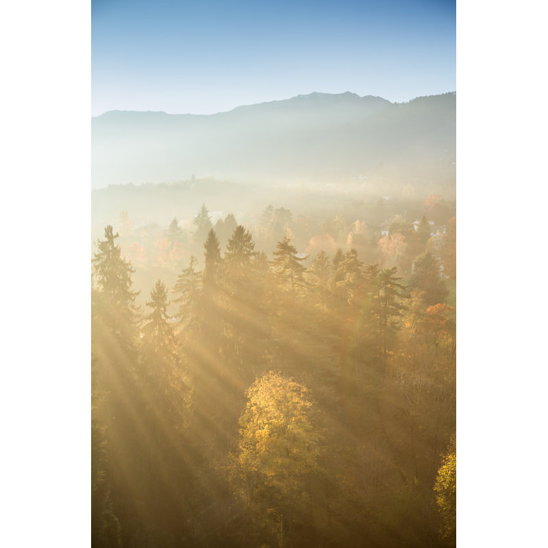 Sunrise In Autumn by Alessandro-Tomiello - Wrapped Canvas Print, 46cm H x 30cm W x 3.8cm D