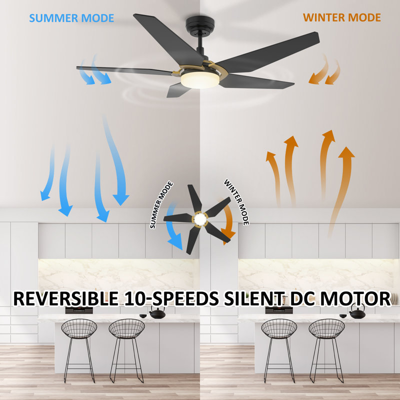 Alcie 5 - Blade  Modern Smart  Ceiling Fan with Dimmable LED Lights, 10-Speed Reversible DC Motor, Timer, Remote, and App Control