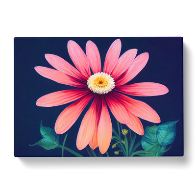 Fine Daisy Flower - Wrapped Canvas