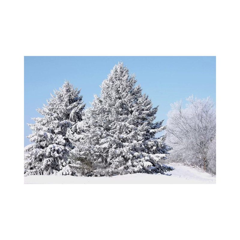Flocked Trees 1 Piece Wrapped Canvas Wall Art, 66.04 cm H x 45.72 cm W x 3.175 cm D