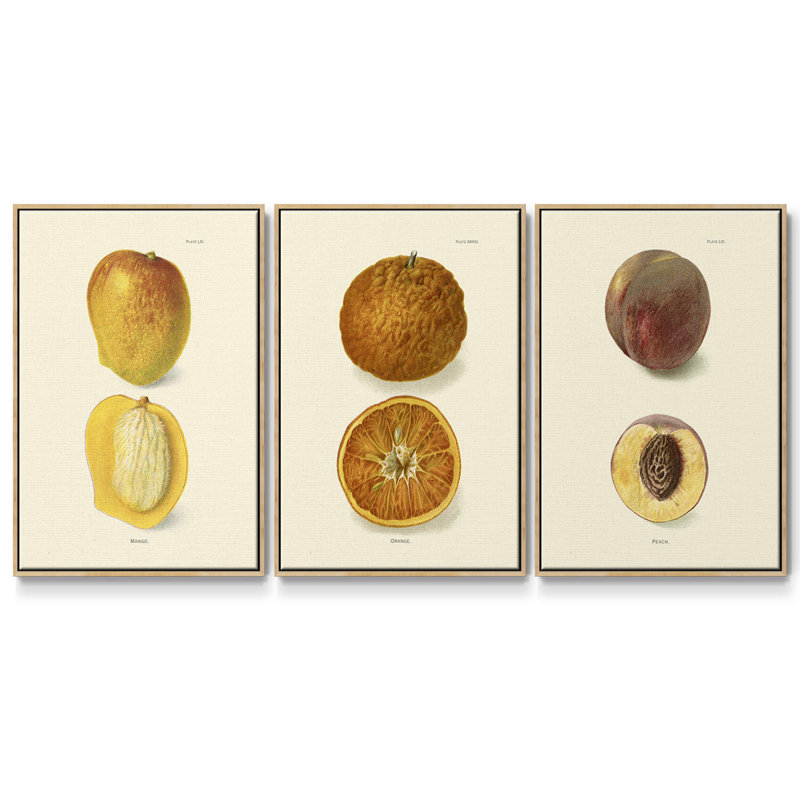 Mangue encadrée sur toile, ensemble de 3 pièces, Bois naturel, H 36 po x l 72 po