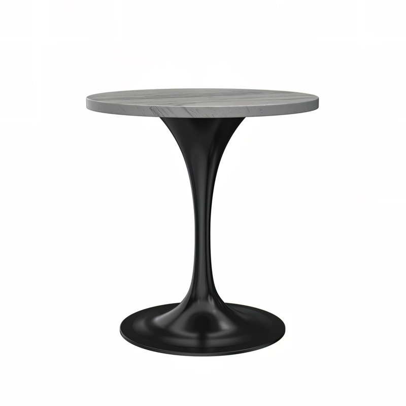 Table de salle à manger ronde avec plateau en résine et base en acier inoxydable noir Heatherton, L 27,56 po x L 27,56 po