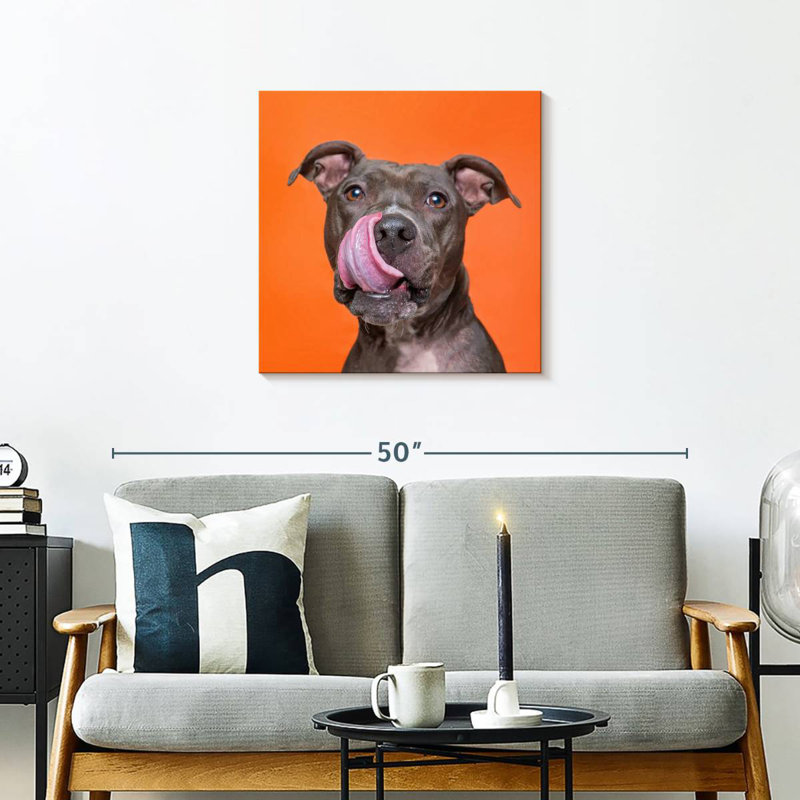 Crowle Silly Pet Pit Bull, H 24 po x l 24 po