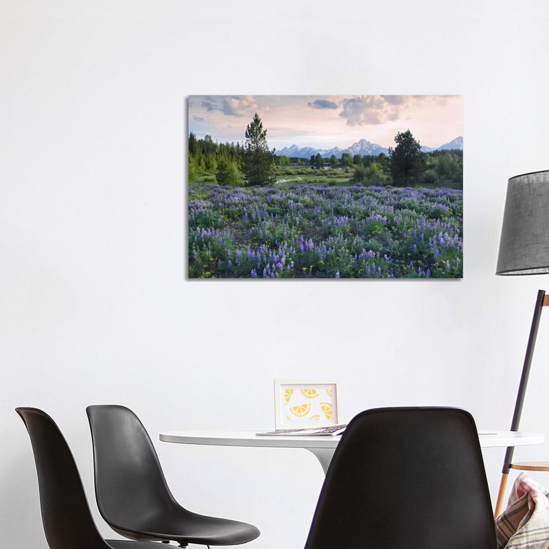 Lupine Meadow, Grand Teton National Park, Wyoming by Tim Fitzharris - Wrapped Canvas Print