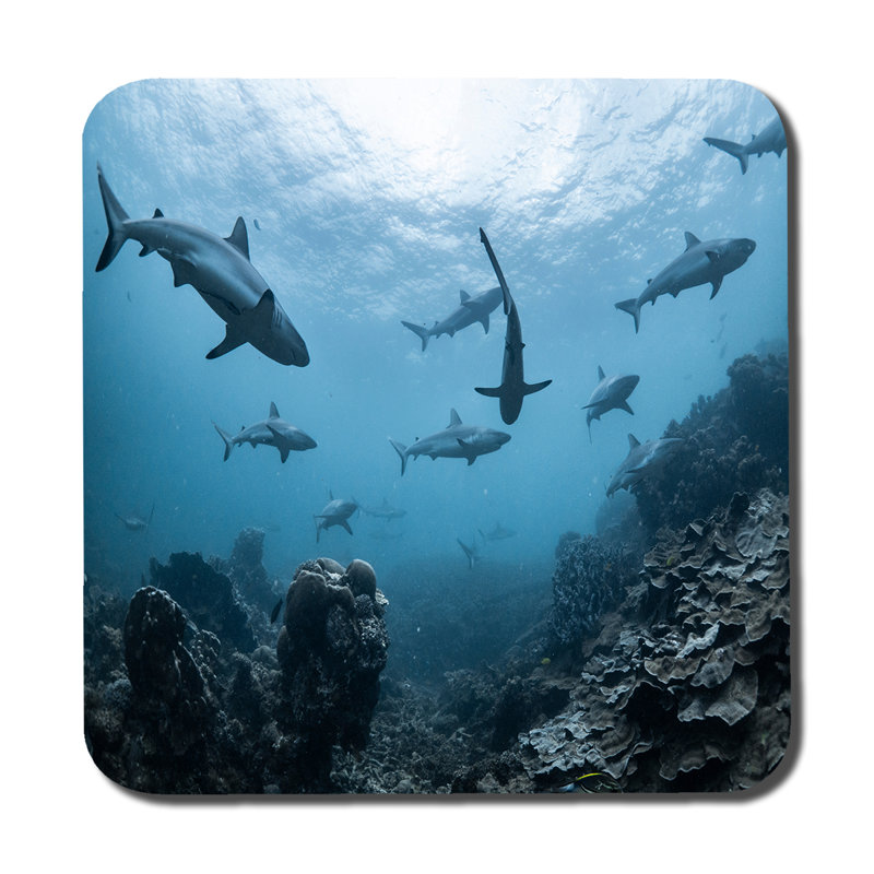 Square 6 Piece Coaster Set