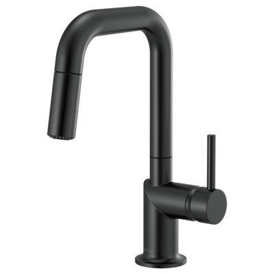 Odin® Pull-Down Prep Faucet with Square Spout
