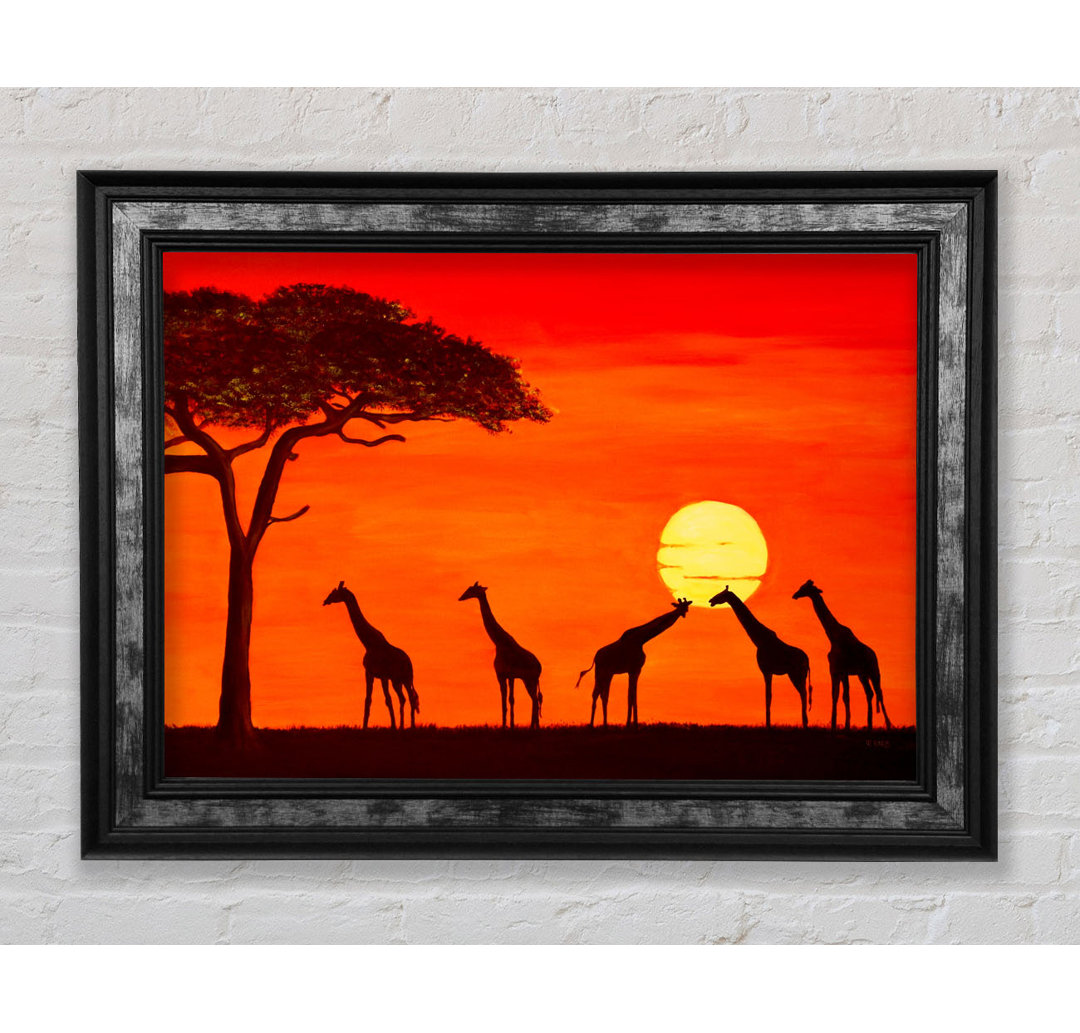 Giraffen bei Sonnenuntergang - Einzelne Bilderrahmen Kunstdrucke