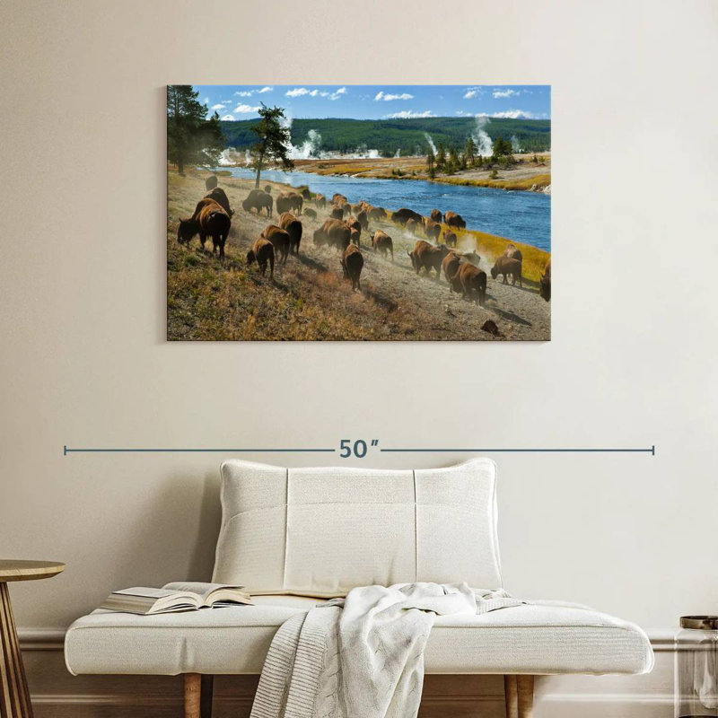 Troupeau de bisons Brampt, H 26 po x l 39 po