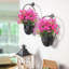 Arrangement floral jonquille-1039253962