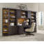 South Park Bookcase