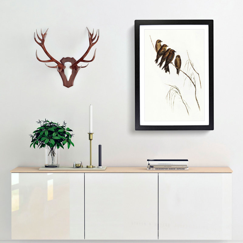 Little Woodswallows by Elizabeth Gould - Picture Frame Painting Print, 36cm H x 27cm W x 2cm D, Black Framed