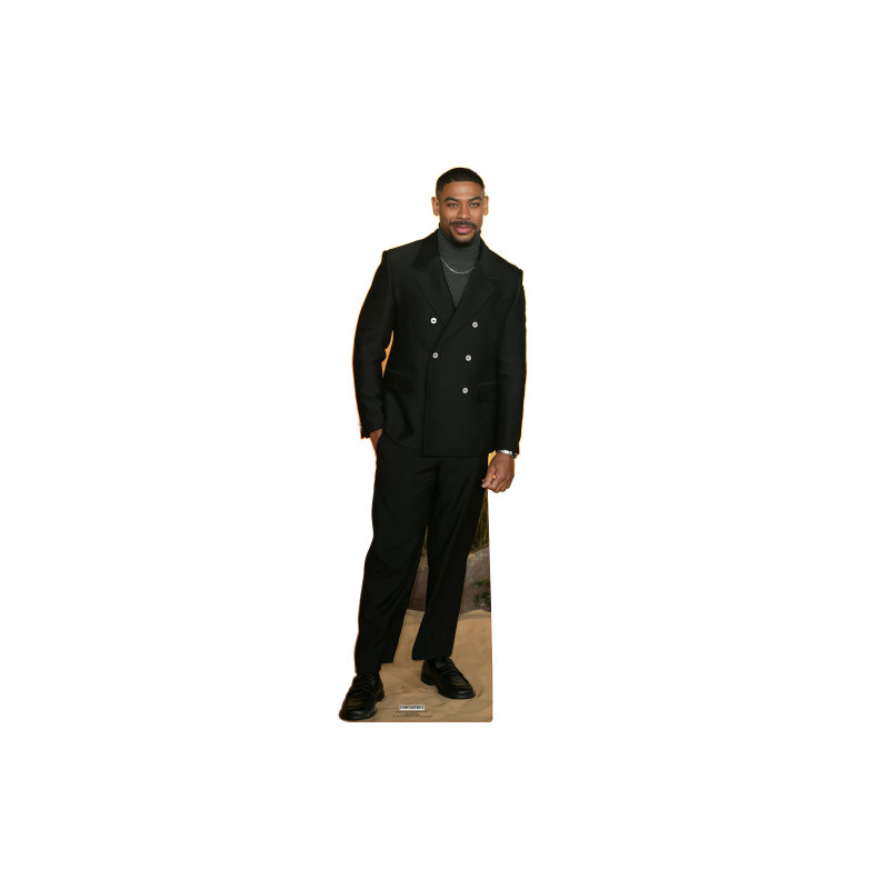 SC2572 Aaron Pierre Cardboard Cutout Standee Standup