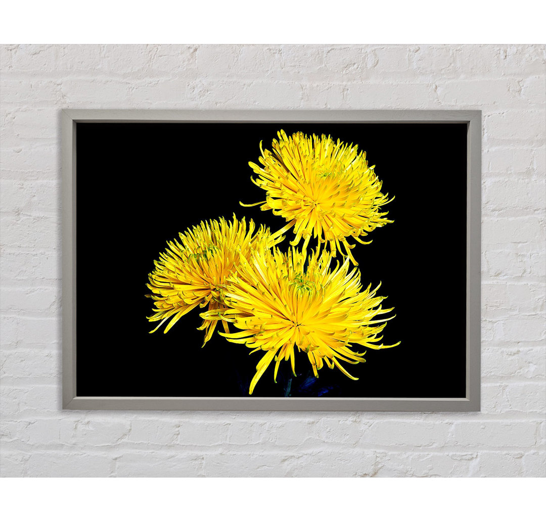 Dandelion Delight - Einzelner Bilderrahmen Kunstdrucke auf Leinwand