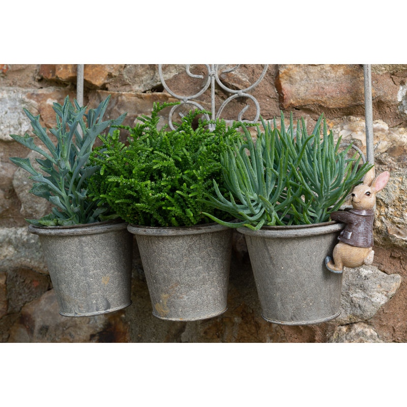 Cintre Beatrix Potter Benjamin Bunny Pot