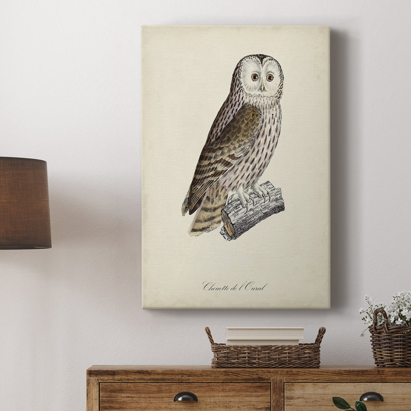 French Owls V - galerie sur mesure, H 18 po x l 12 po