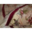 Kassadi Oriental Area Rug in Red