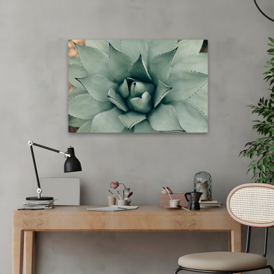 Plantes, fleurs, paysage, nature, somptueux art mural
