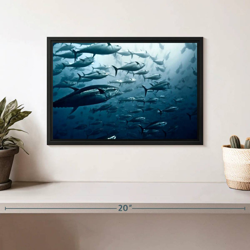 School Of Tuna, Floating Frame Black, 13" X 9"
