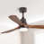 Coffee Brown with Brown Blades