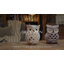 Lanterne à bougie pour table Owl