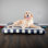  Grand lit pour chien résistant à l'eau 44 po PETMAker - Lit pour animal de compagnie avec housse amovible lavable et fond antidérapant