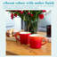 Argon Tableware - Ombre Coffee Mug - Glazed New Bone China Drinking Cup-114738823-114738830