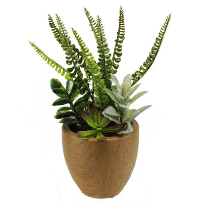 12" Potted Brown and Green Artificial Mixed Succulents and Fern Arrangement