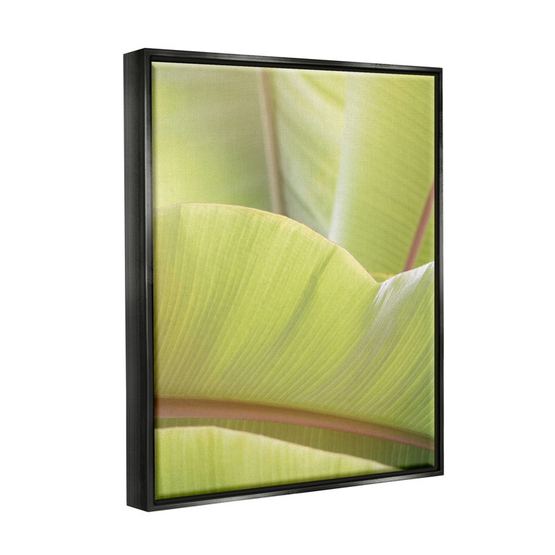 «Modern Botanical Close up Leaf» par Lynann Colligan - photographie, Cadre flottant noir de jais