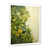 White Single Picture Framed