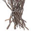 Plante de 36 po