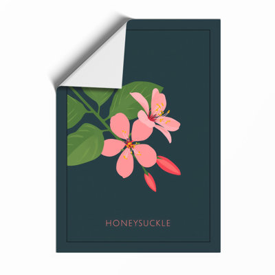 Honeysuckle Study Botanical - Framed Print