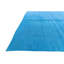 Tapis bleu Ohlson