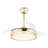 Gerede 36" Integrated LED Retractable Ceiling Fan-598517739