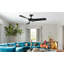 52'' Indoor Ceiling Fan with LED Light and Remote-832451887