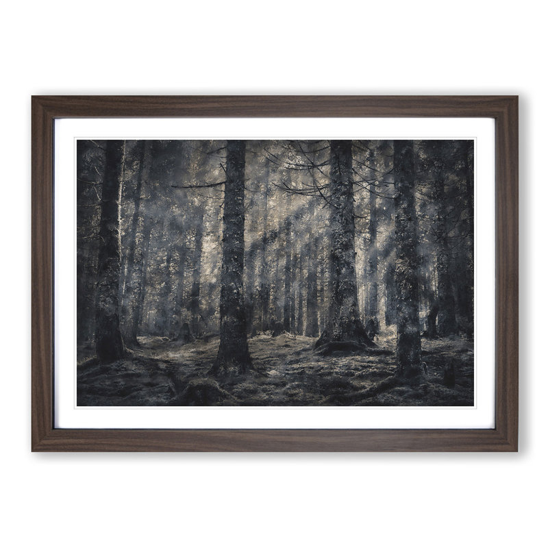 Pine Tree Forest - Picture Frame Graphic Art Print, Walnut, 33cm H x 45cm W x 2cm D
