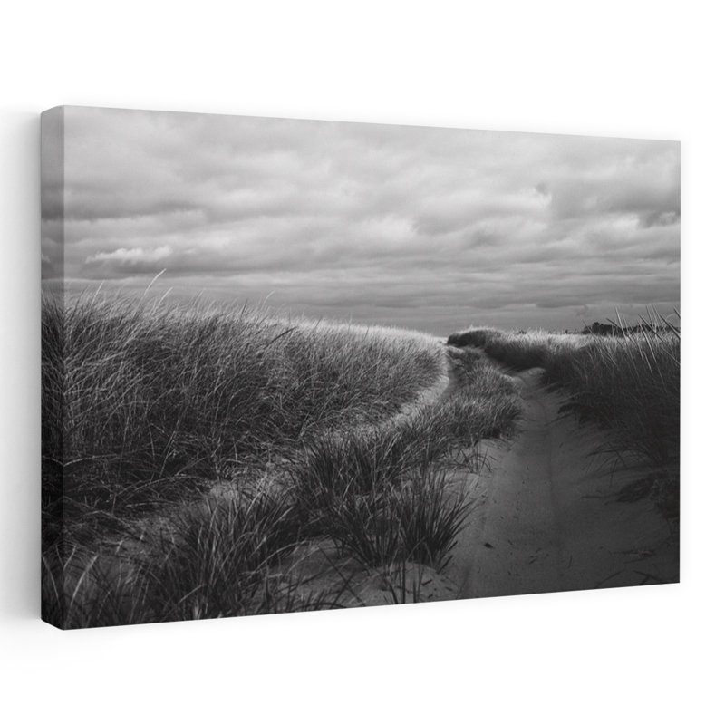 Plage, herbes, côtier, noir, noir et blanc, blanc, plage, plage, Grasse, H 36 po x l 24 po